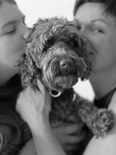 Analog pic: love for a dog