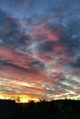 Sunrise in Scotland by Laurel Gillespie, About 5:30 am, Augustaberdeenshirescotland sunrise