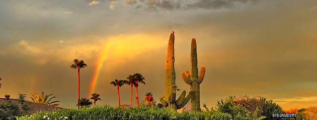 Arizona Monsoon Sunrise 2022