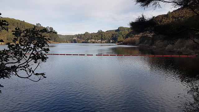 Waipapa Hydro Dam