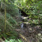 Tuscarora Falls 47 foot tall waterfall.

Shot with Spectre app.

Ricketts Glen State Park @ Benton, Pennsylvania