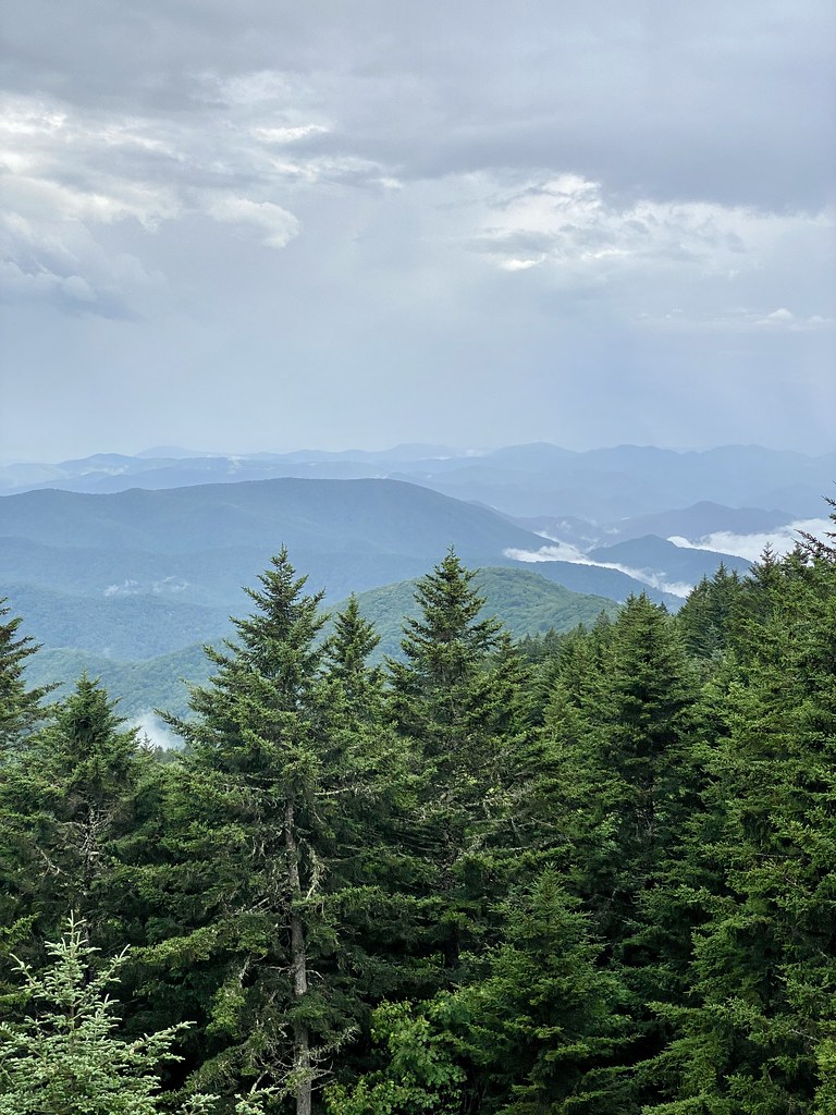 Richland Balsam Nature Trail