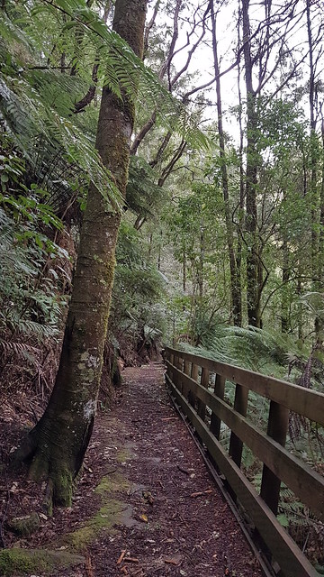 Mangarewa Bridge Side Trail