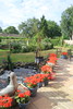 Our pond and patio, Hillview, UK.