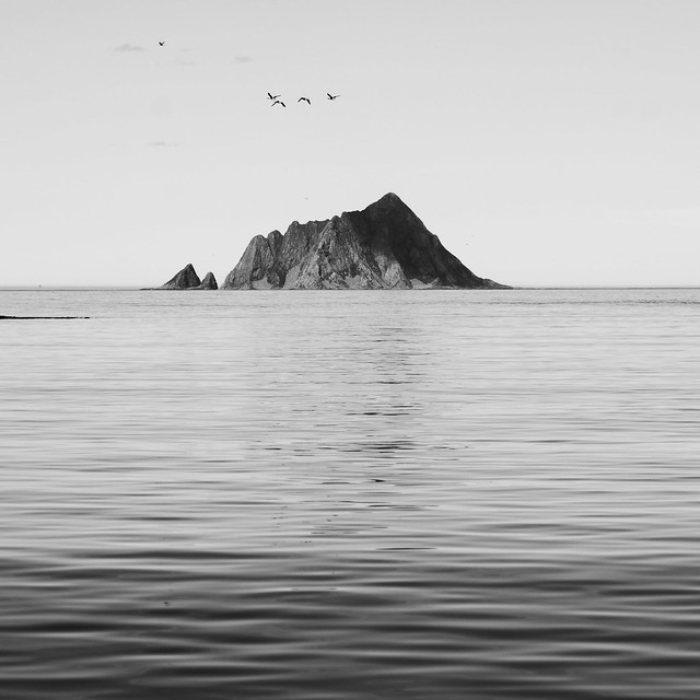 Geese and Sørfugløya island