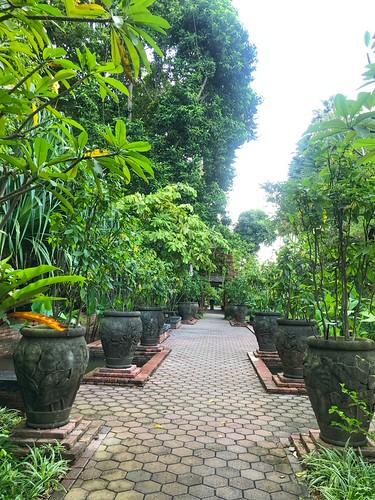 Fort Canning Park | by cattan2011