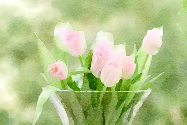 Romantic Watercolor Painting of Close Up Photography Flowers