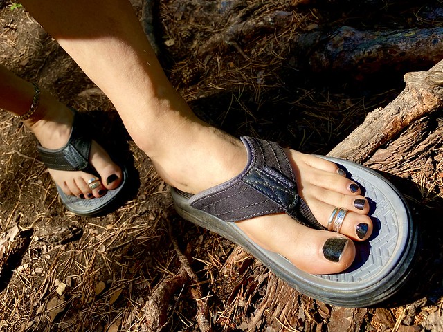Dusty toes in the forest.
