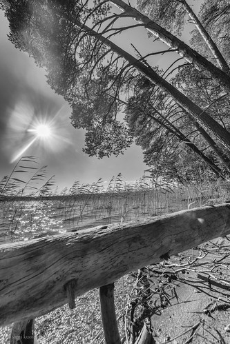 summer | by sami kuosmanen