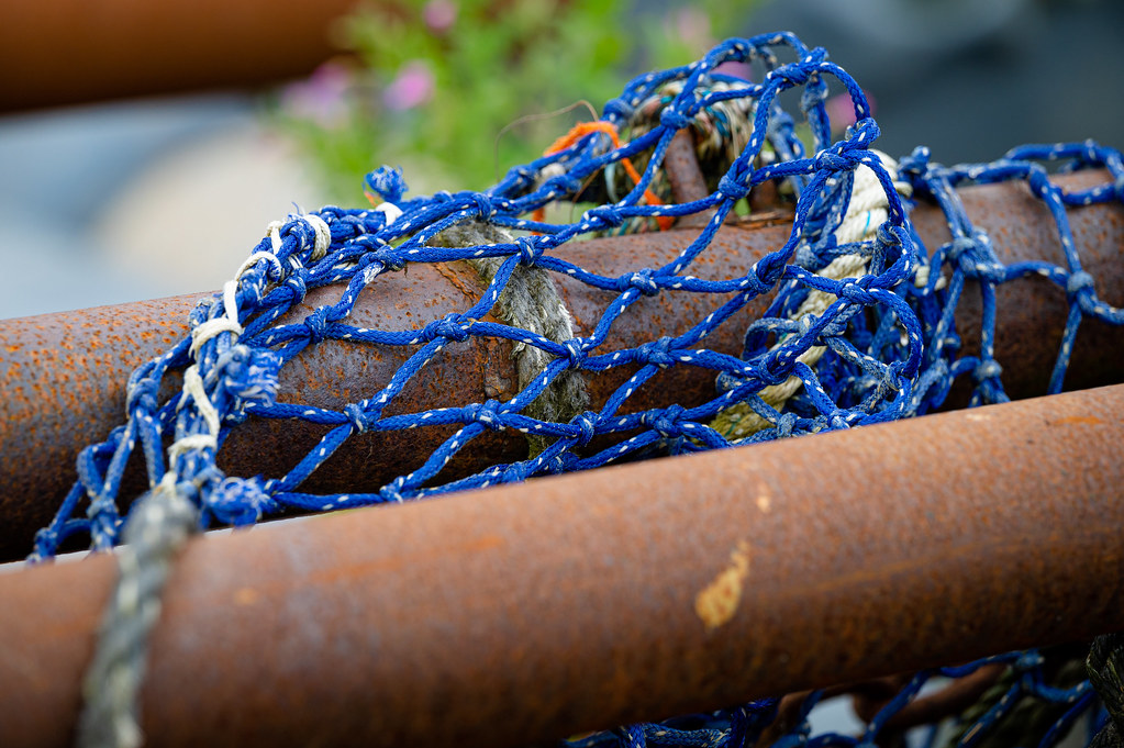 The blue fishing net