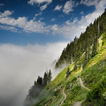 11. August 2022 - 9:19 - Sauk Mountain trail, Washington Cascades
