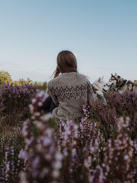 The High Peak Sweater by Liv Ulven popped up in my feed today! An introductory 20% discount using the code HIGHPEAKRELEASE on Ravelry until Sunday, July 14th at 23:30 CEST.