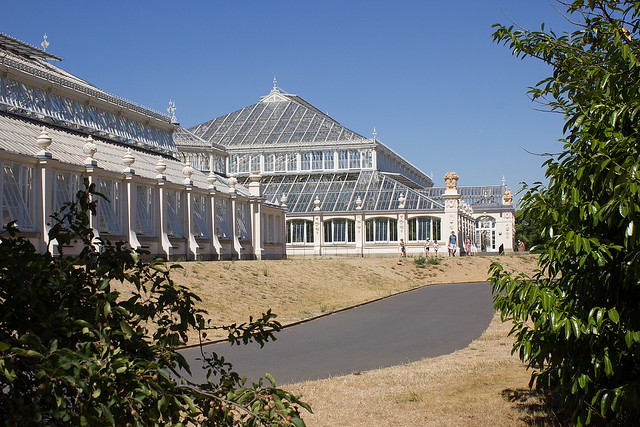 Kew Gardens in a heatwave