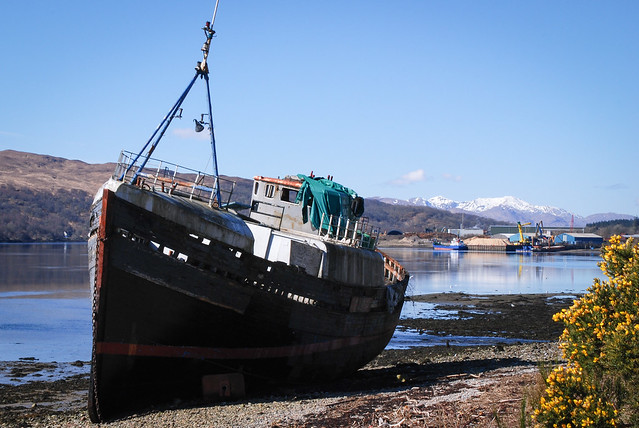 The wreck of the MV Dayspring on the banks of Loch Linnhe.