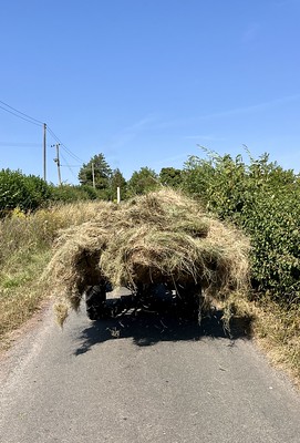 A photo looking up a country road under a clear sky. We're looking at the rear of a tractor which is entirely hidden by a huge pile of dry grass being carried behind it.