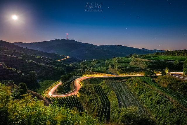 Full moon and light trails in the vineyards...