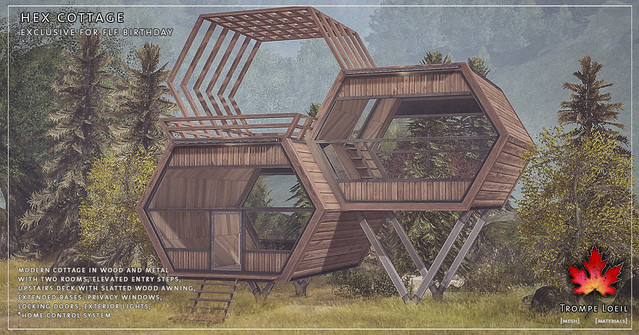 Trompe Loeil - Hex Cabin for Fifty Linden Friday Birthday