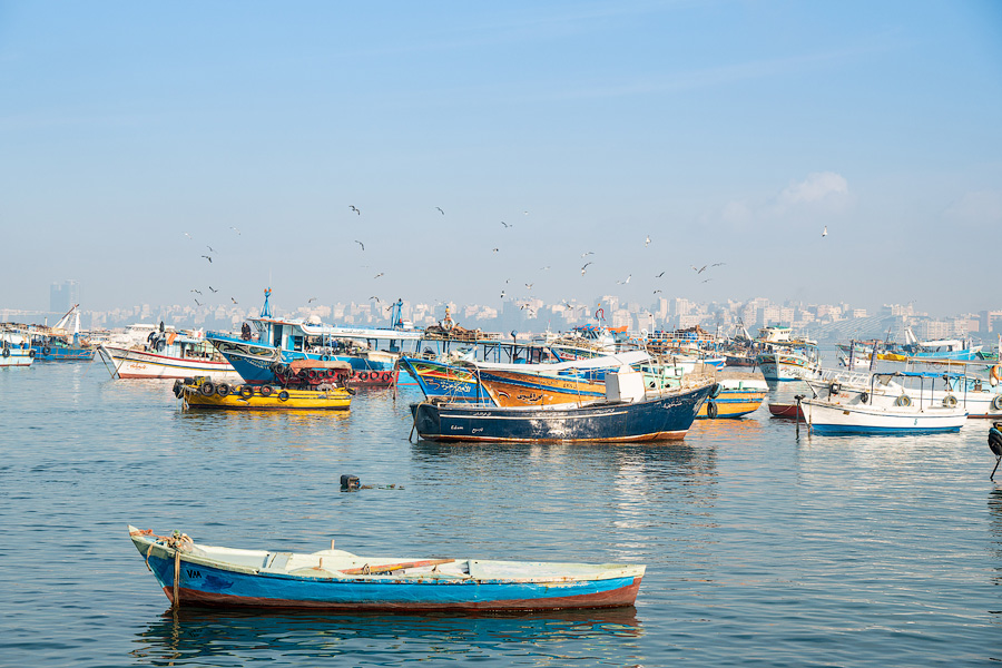 Живописная набережная Александрии рядом с маяком Кайтбей и рыбацким рынком.