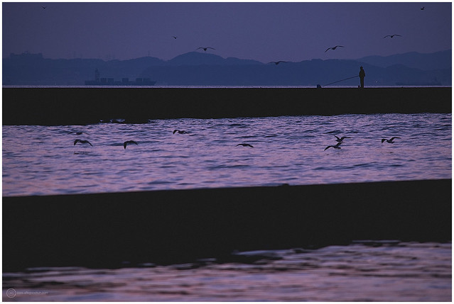 Fishing at dusk: Boso Peninsula, Chiba