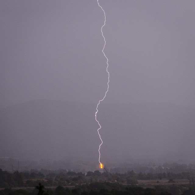 Lightning on a tree (zoom)
