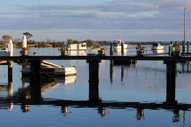 Late afternoon on the Shoalhaven River