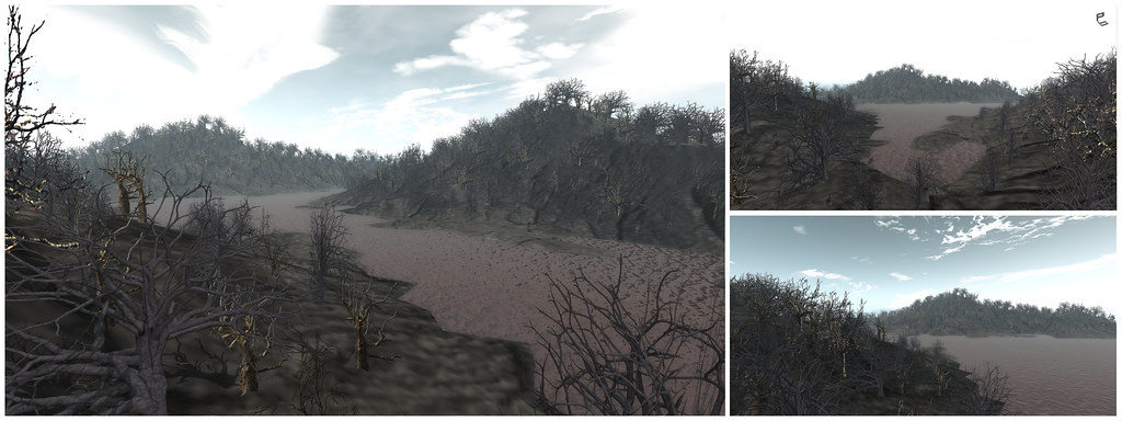 DEATH FOREST – sim surround terrain