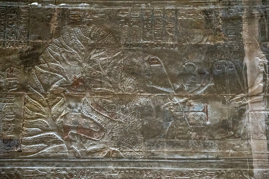 Фараон на фоне священного дерева Исиды (акация). Посвящение от Гора