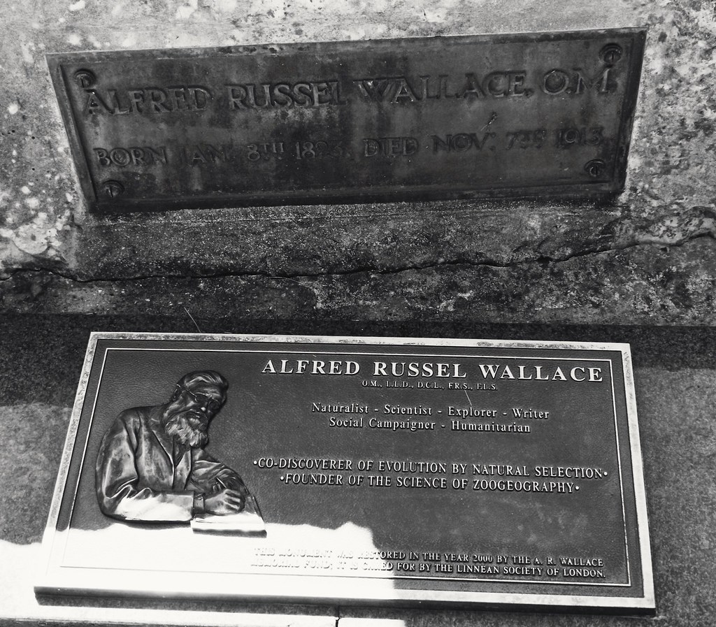 Alfred Russel Wallace grave