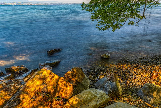 28042022-Lac Leman Thonon Les Bains-107