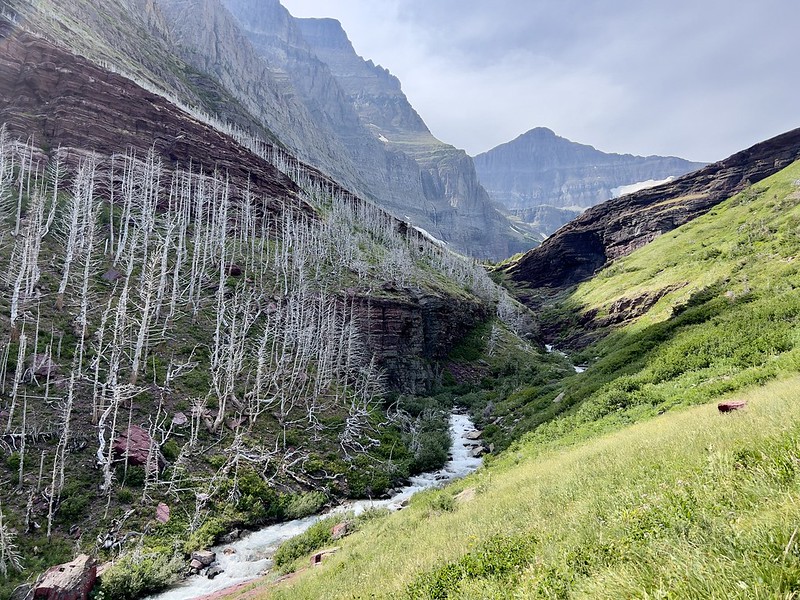 Siyeh Pass Hike