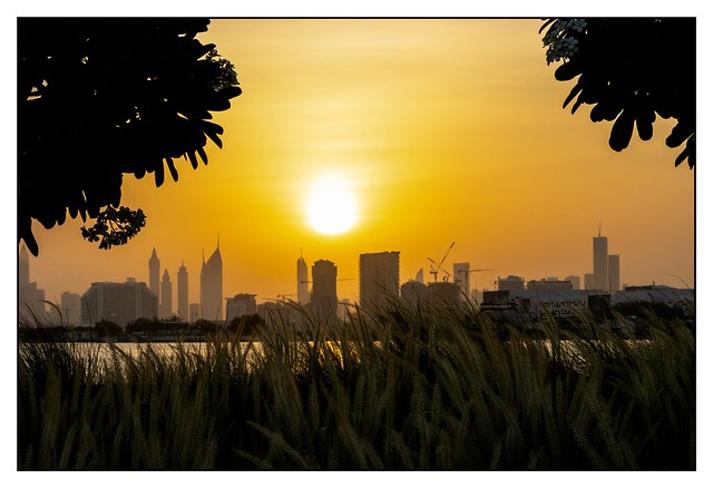 Hot Summer Sunset-Dubai UAE