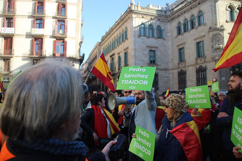 FOTOGRAFÍA. PLAZA SAN JAIME DE BARCELONA (BARCELONA) ESPAÑA, 12.01.2020. Sánchez traidor. Protesta de VOX en Barcelona. El separatismo presente. Ñ pueblo (11)