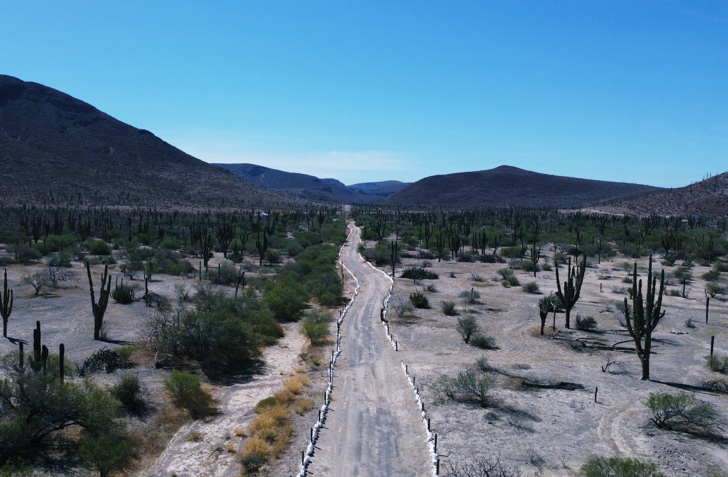 Los Cabos desert road