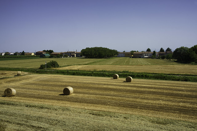 Rural landscape near Gualtieri, Reggio Emilia province, Italy