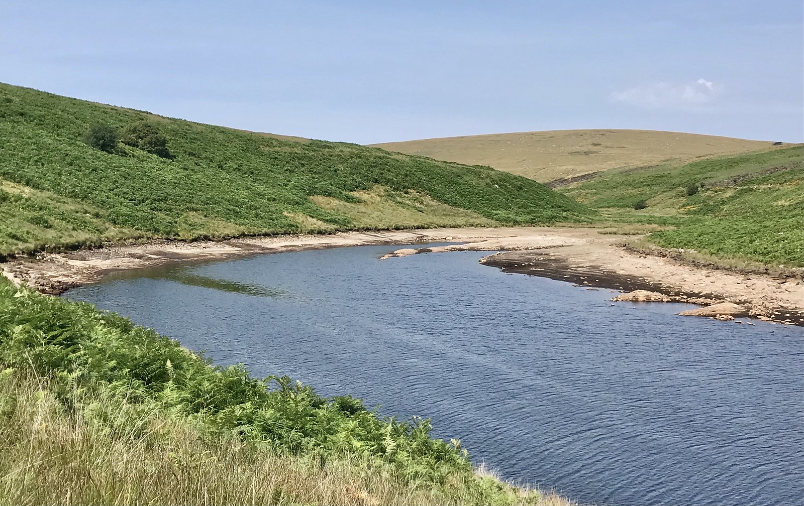 Water level of the Avon Reservoir - August 14th 2022