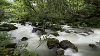 奥入瀬渓流の旅 - 奥入瀬川