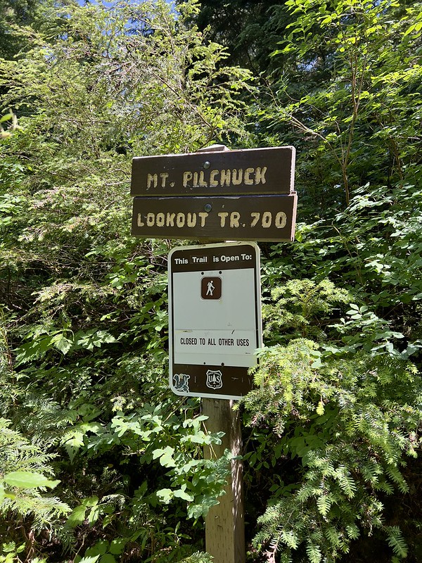 Mt. Pilchuck Hike