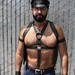 HELLA HOT & HANDSOME HAIRY HUNK  !  ~ DORE ALLEY FAIR 2022 ! ~ photographed by ADDA DADA !  (safe photo )
