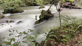奥入瀬渓流の旅 - 阿修羅の流れ