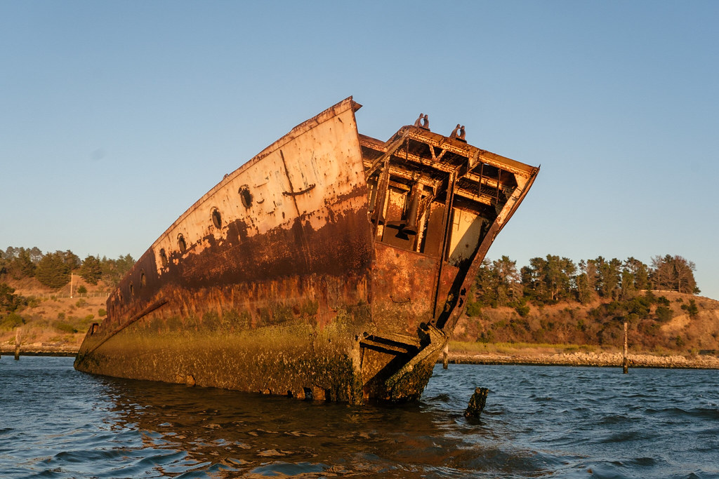East Bay “secret” shipwreck