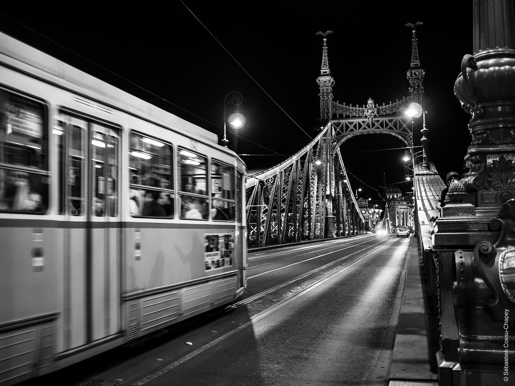 Budapest - Pont de la Liberté NB 52288215530_ea5a347df8_b