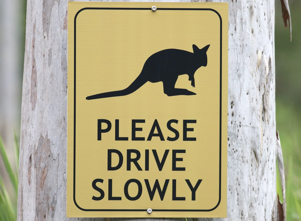 Kangaroo crossing sign, Mount Molloy, QLD, Australia