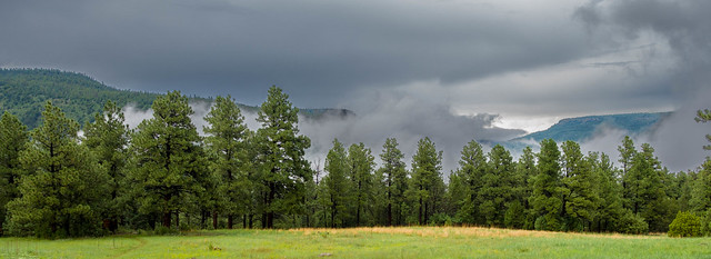 Carson Meadows - Tooth of Time Completely Obscured by Clouds/Fog, Rayado, New Mexico, USA-01879