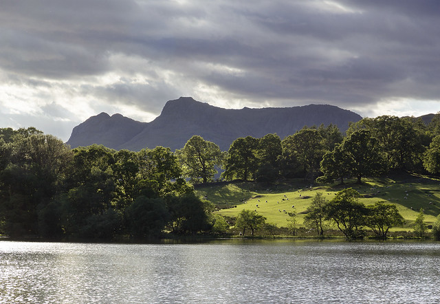 Langdale Pikes from Loughrigg Tarn, Lake District National Park, Cumbria, UK