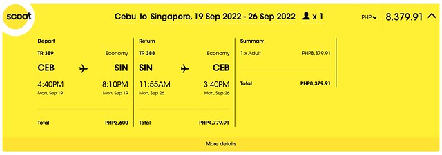 Cebu to Singapore via Fly Scoot