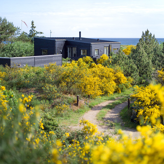 Danish summerhouse area (sommerhus), Sjællands Odde