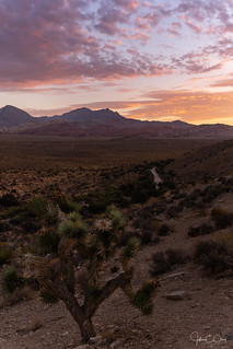 Red Rock Canyon – Desert Sunrise