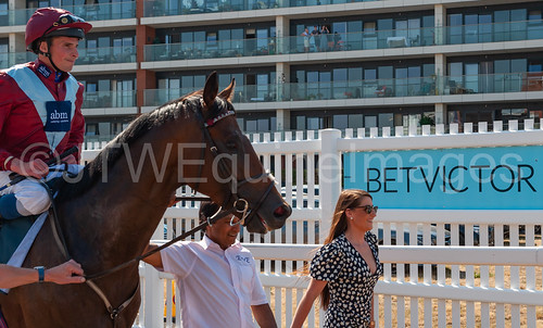 Race 5 - Jumby-5