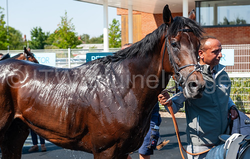 Race 3 - Zechariah-7