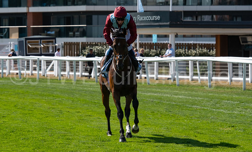 Race 5 - Jumby-13